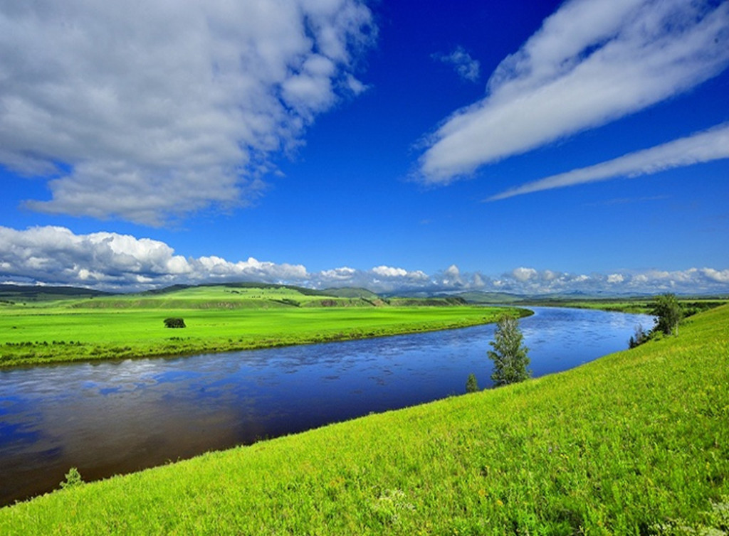 邂逅在那一片草原之上
