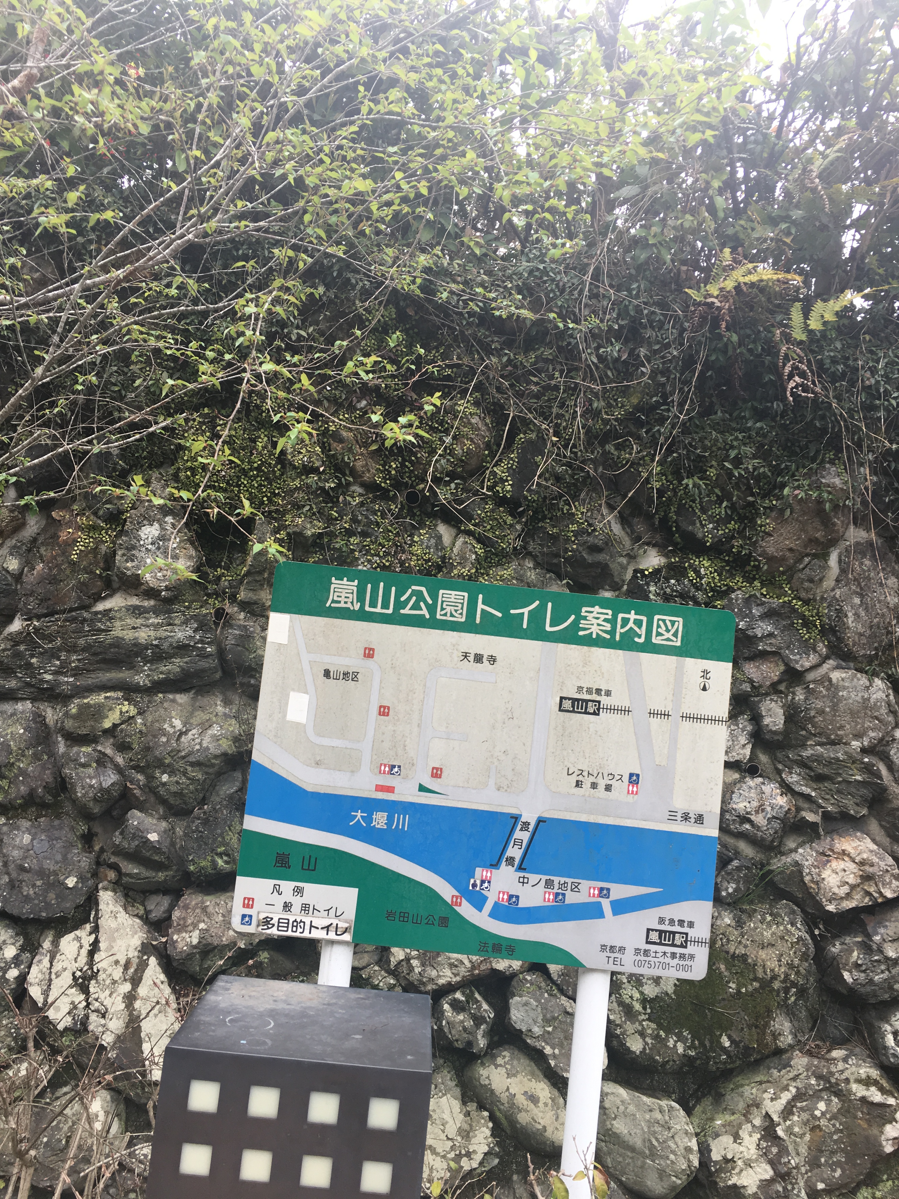 温州岚山公园图片图片