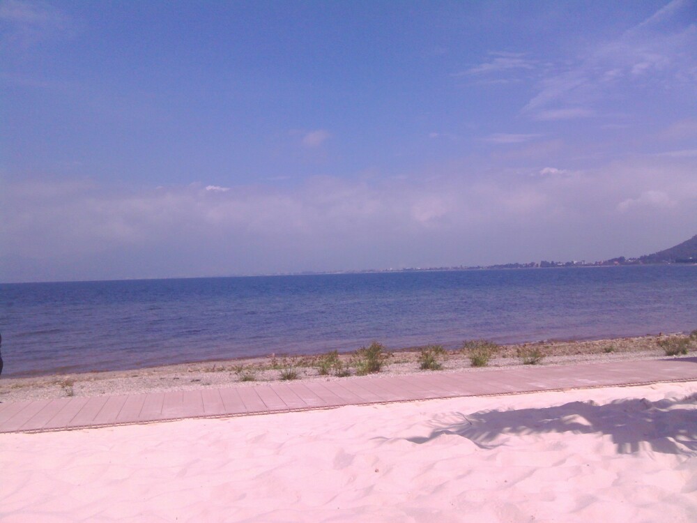 2019樱花谷_旅游攻略_门票_地址_游记点评,澄江旅游景点推荐 - 去哪儿