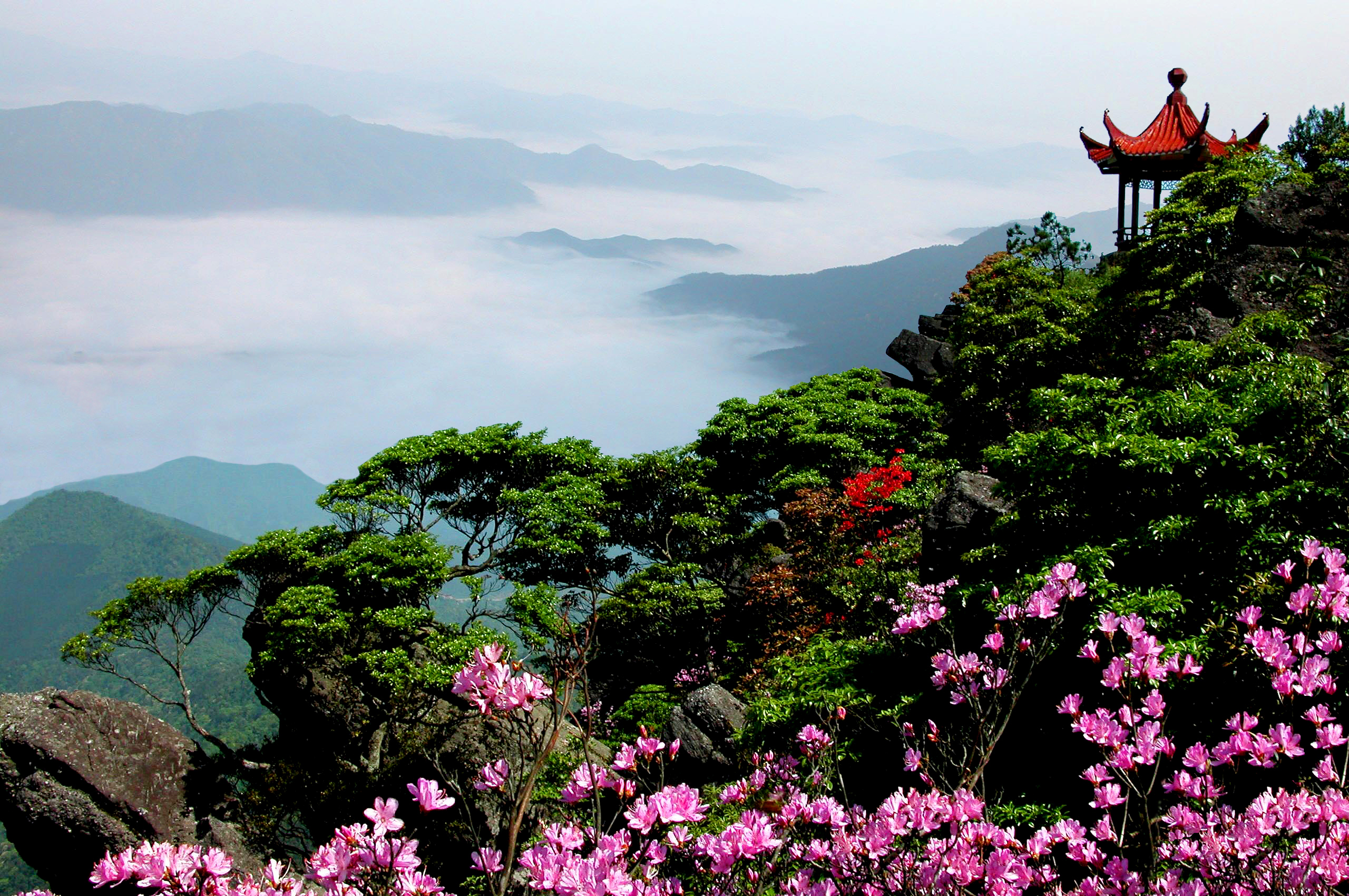 阳明山景点介绍图片