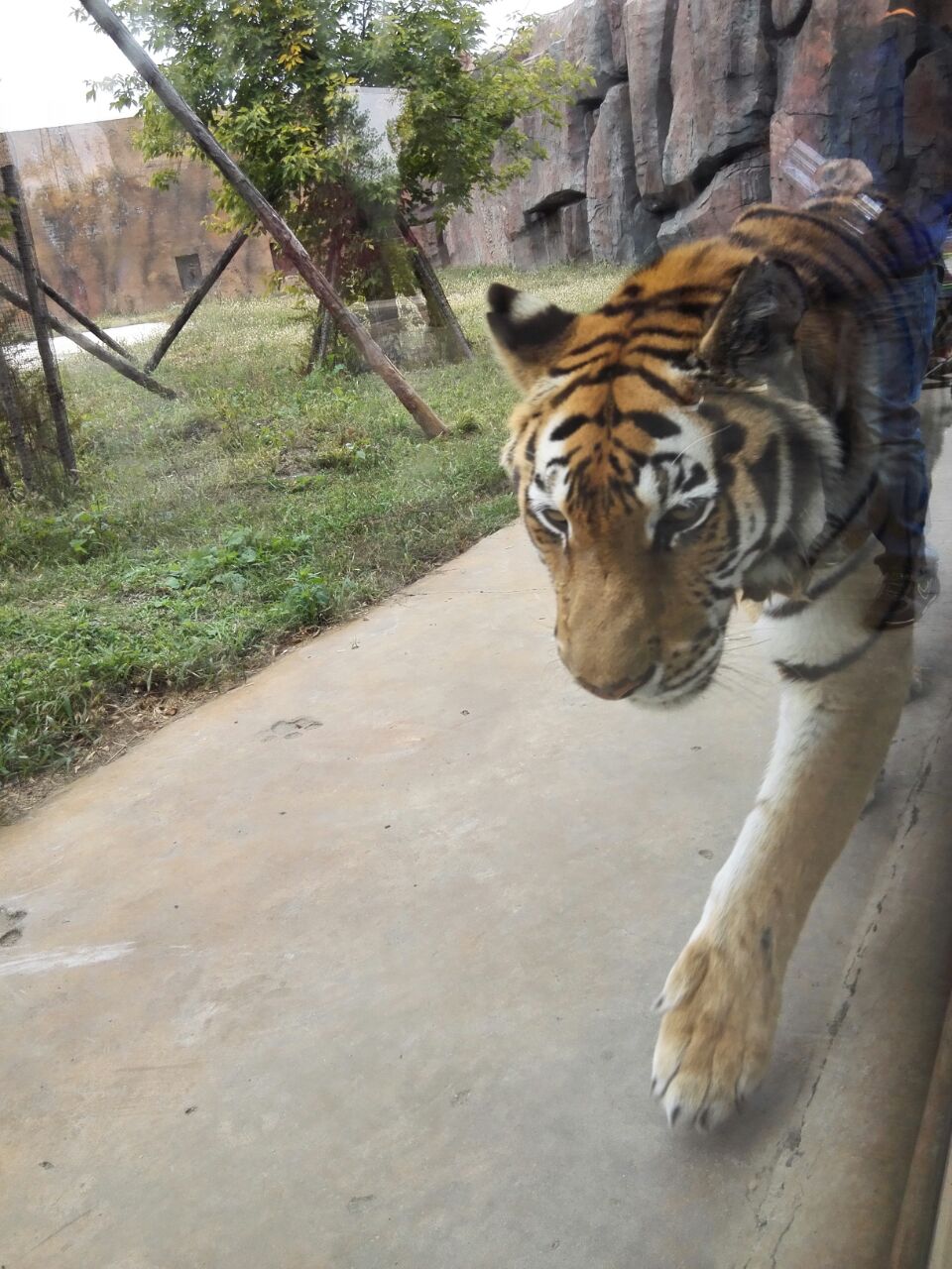 2019龍沙動植物園-旅遊攻略-門票-地址-問答-遊記點評,齊齊哈爾旅遊