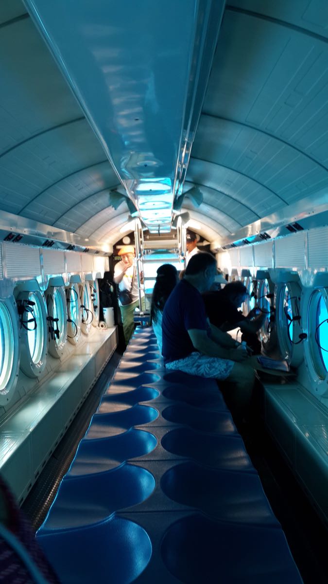 2023亚特兰蒂斯号潜水艇游玩攻略,有个海龟好可怜被他们绑在海.