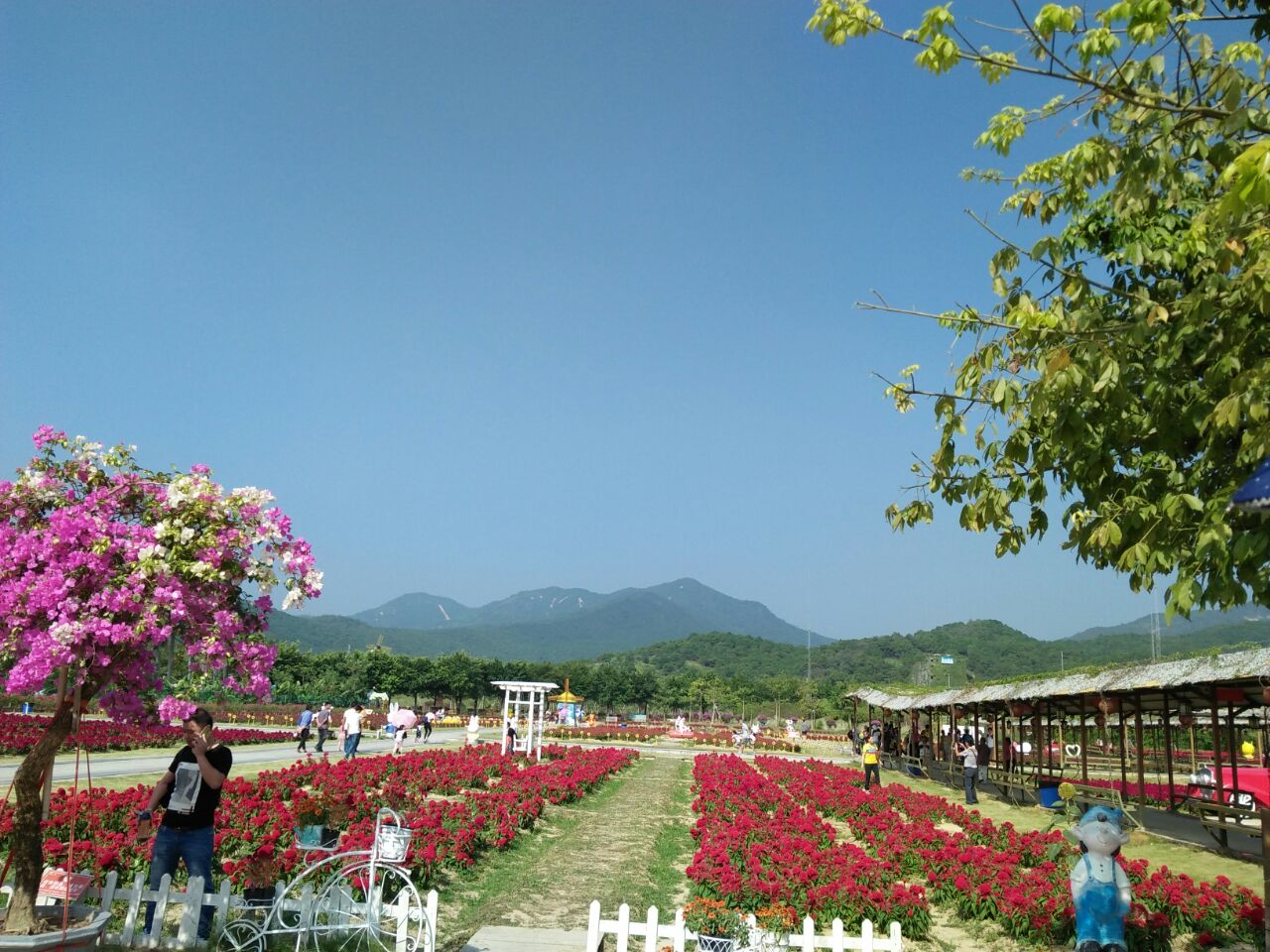 高明盈香生態園