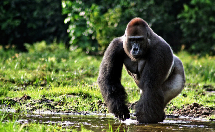 东港市革命烈士纪念碑