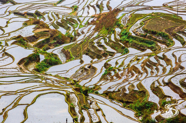 【云南】欢喜红河,与哈尼族人民载歌载舞