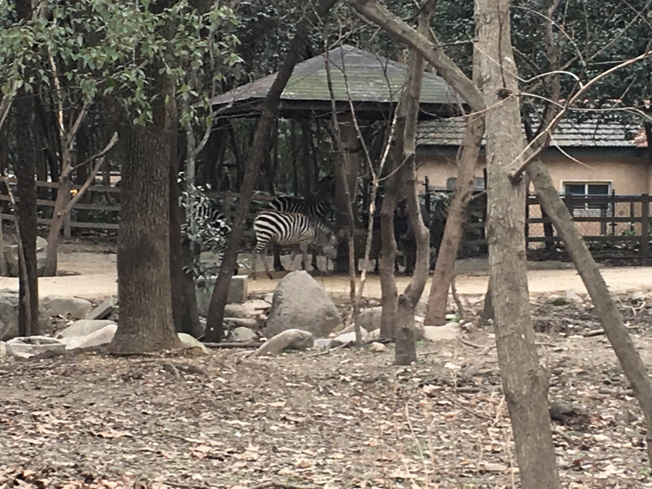 上海动物园