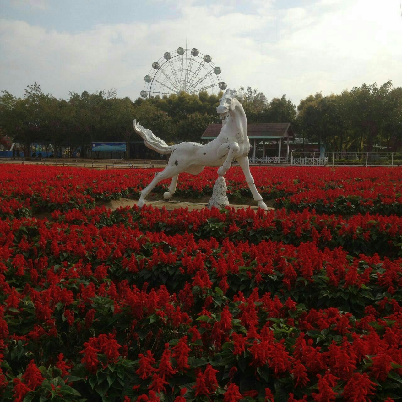 花都香草世界旅游景点攻略图