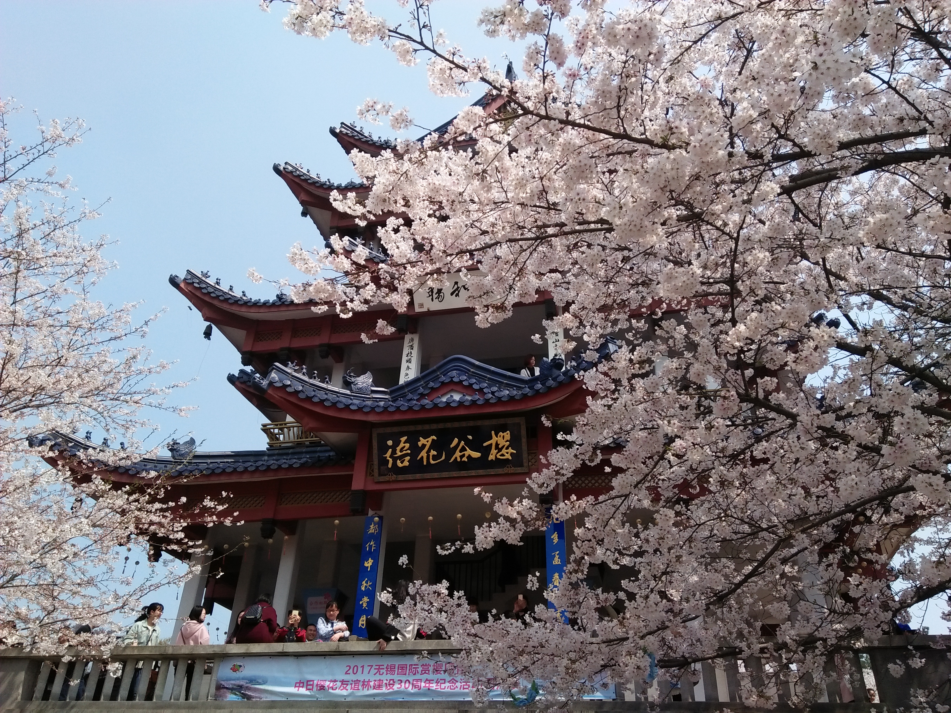鼋头渚景区很大,去太湖仙岛的船票含在门票里.