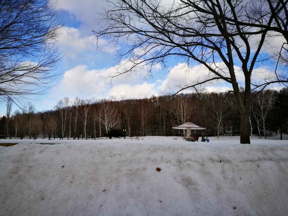 北海道立真驹内公园