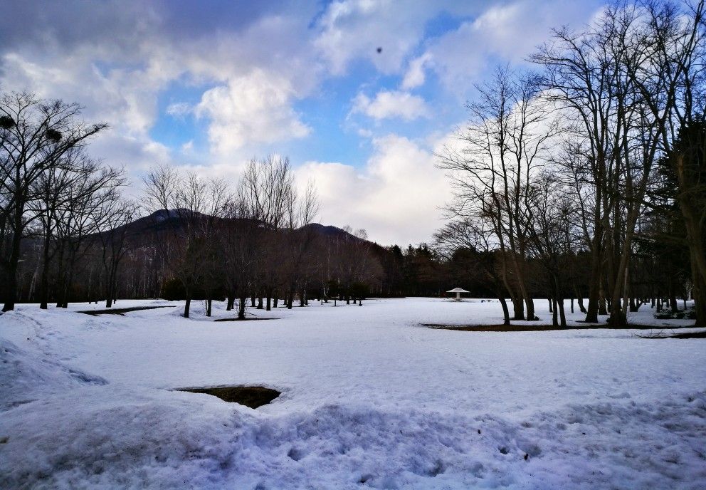 北海道立真驹内公园