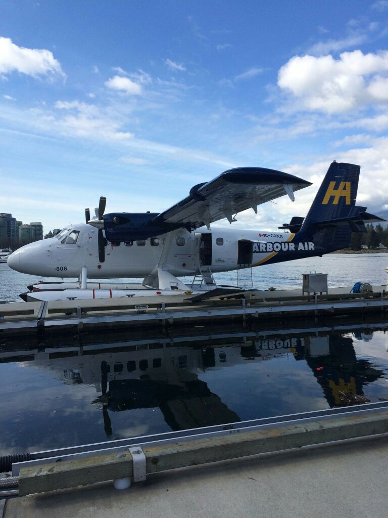 托菲诺水上飞机机场