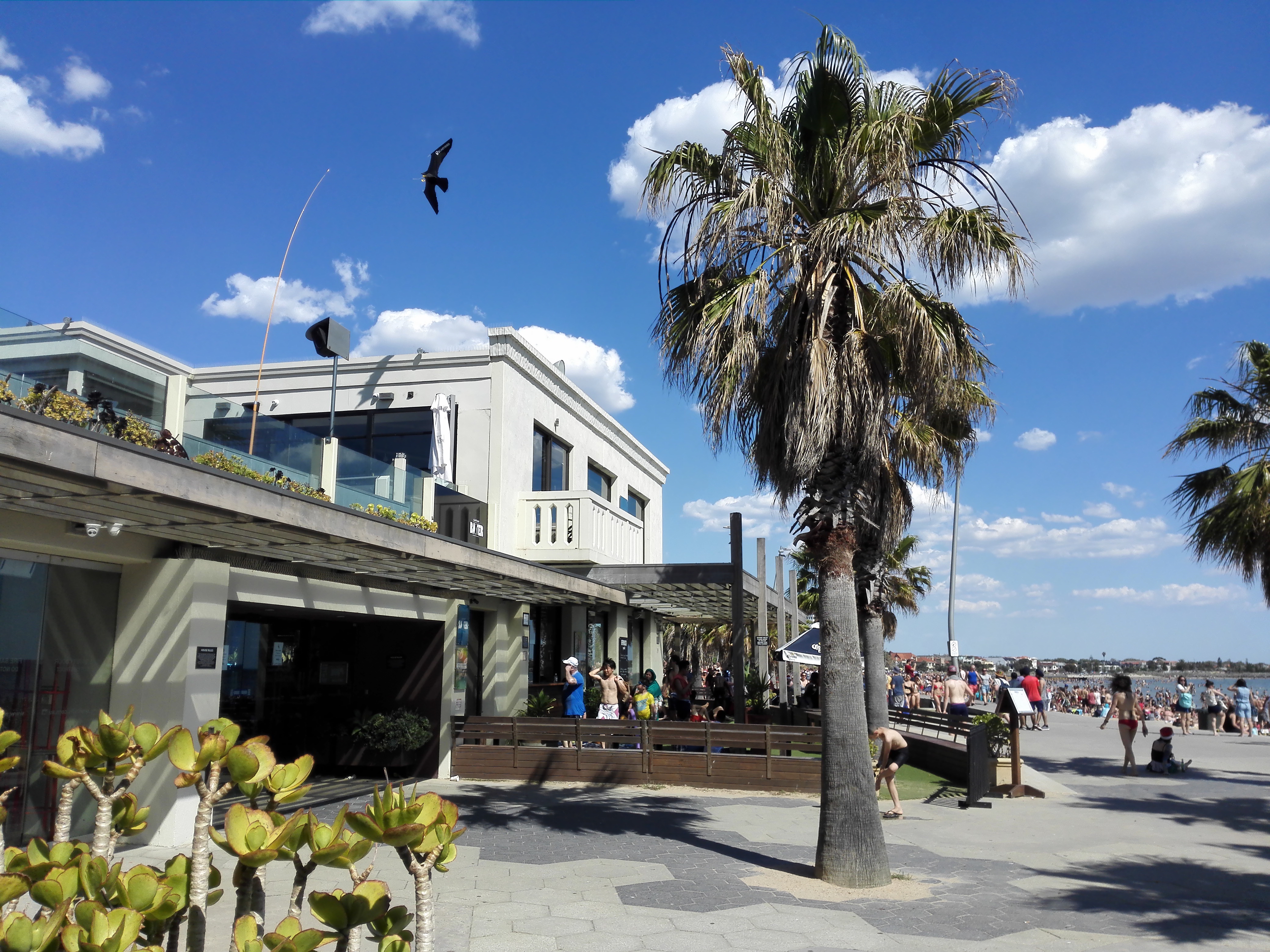 【携程攻略】墨尔本圣基尔达海滩适合朋友出游旅游吗,圣基尔达海滩