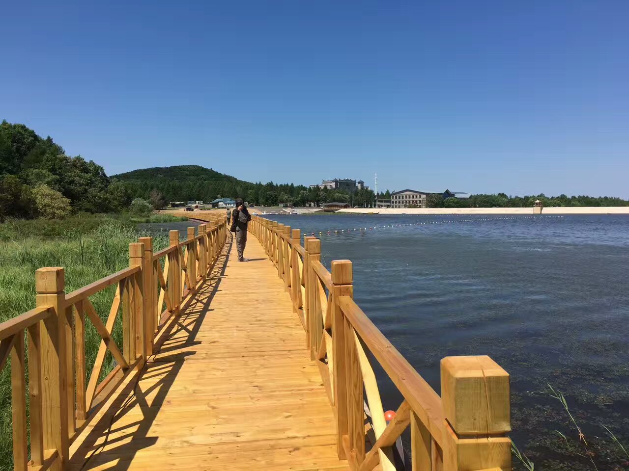 桃源湖风景区森林书房