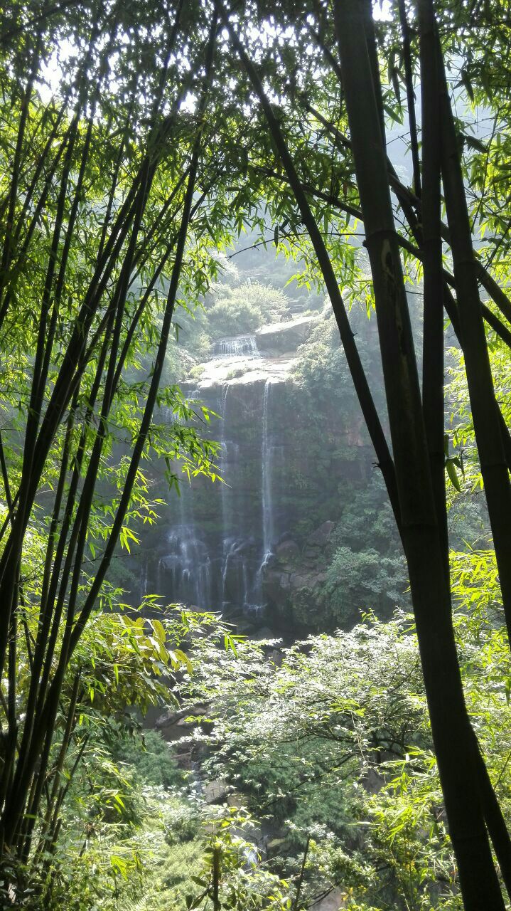 蜀南竹海门票价格(蜀南竹海必去七个景点)