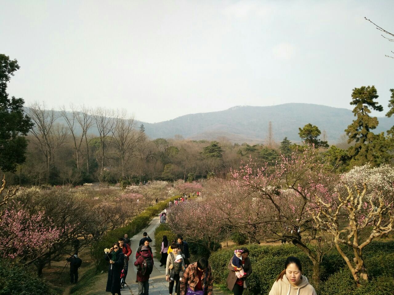 梅花山旅游景点攻略图