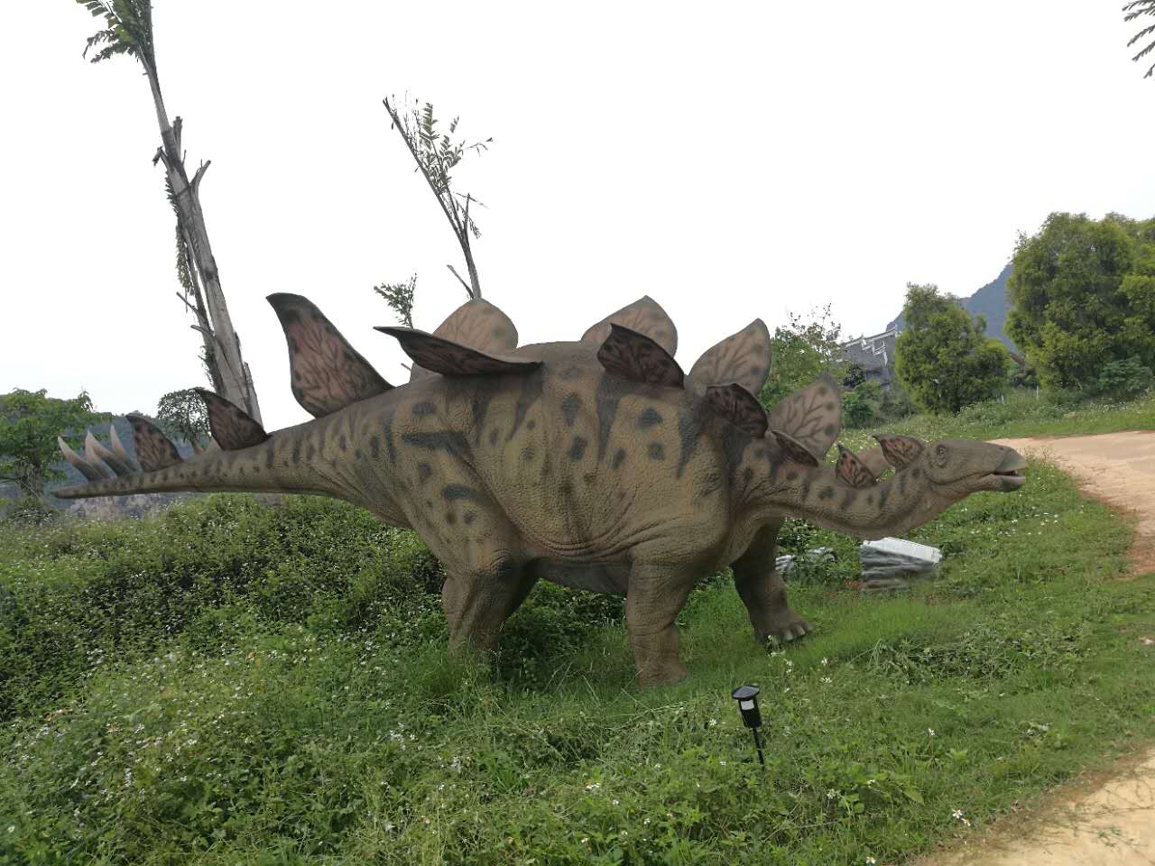 2019龍谷灣恐龍公園_旅遊攻略_門票_地址_遊記點評,扶綏旅遊景點推薦