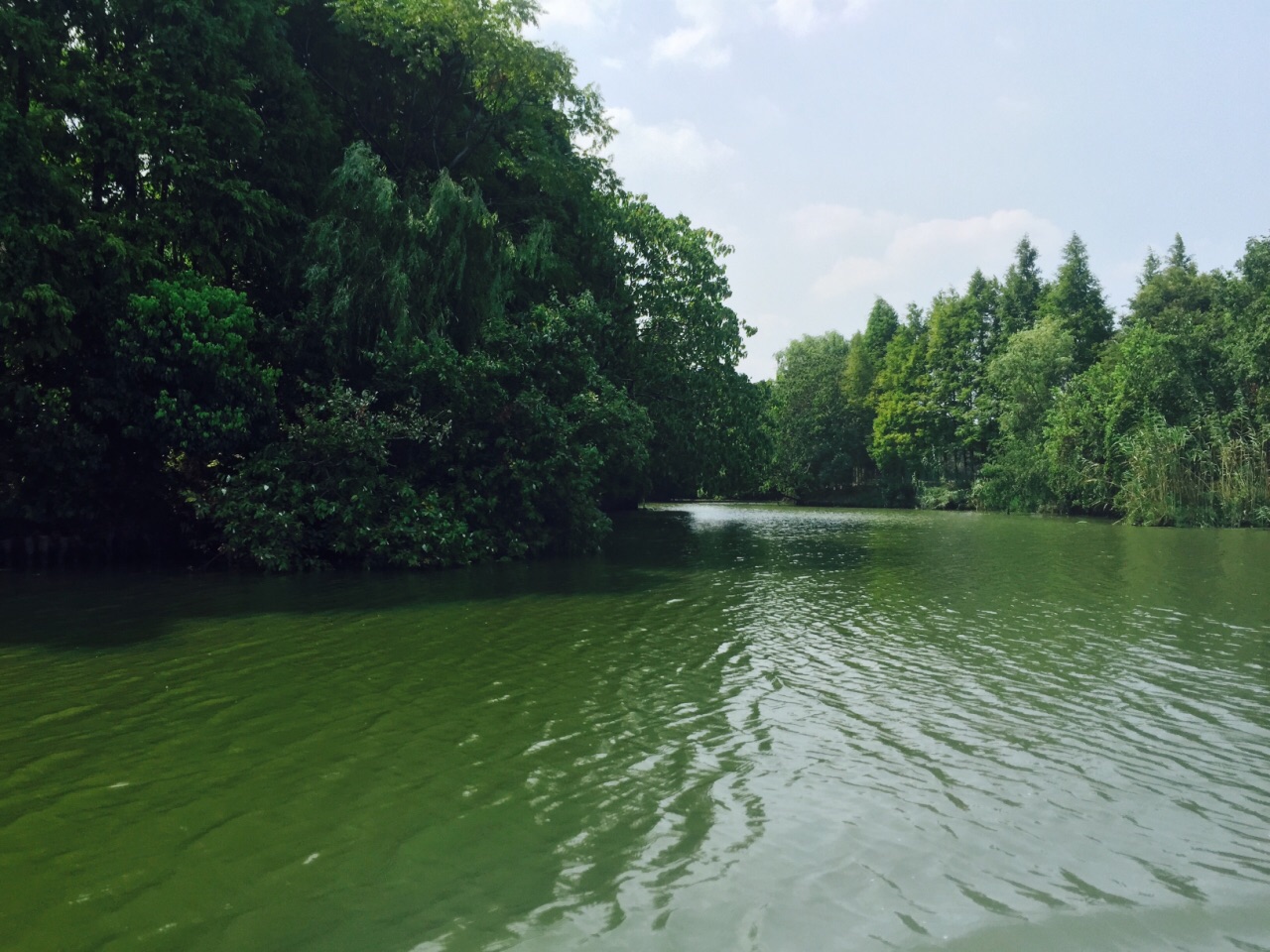 德清下渚湖溼地公園