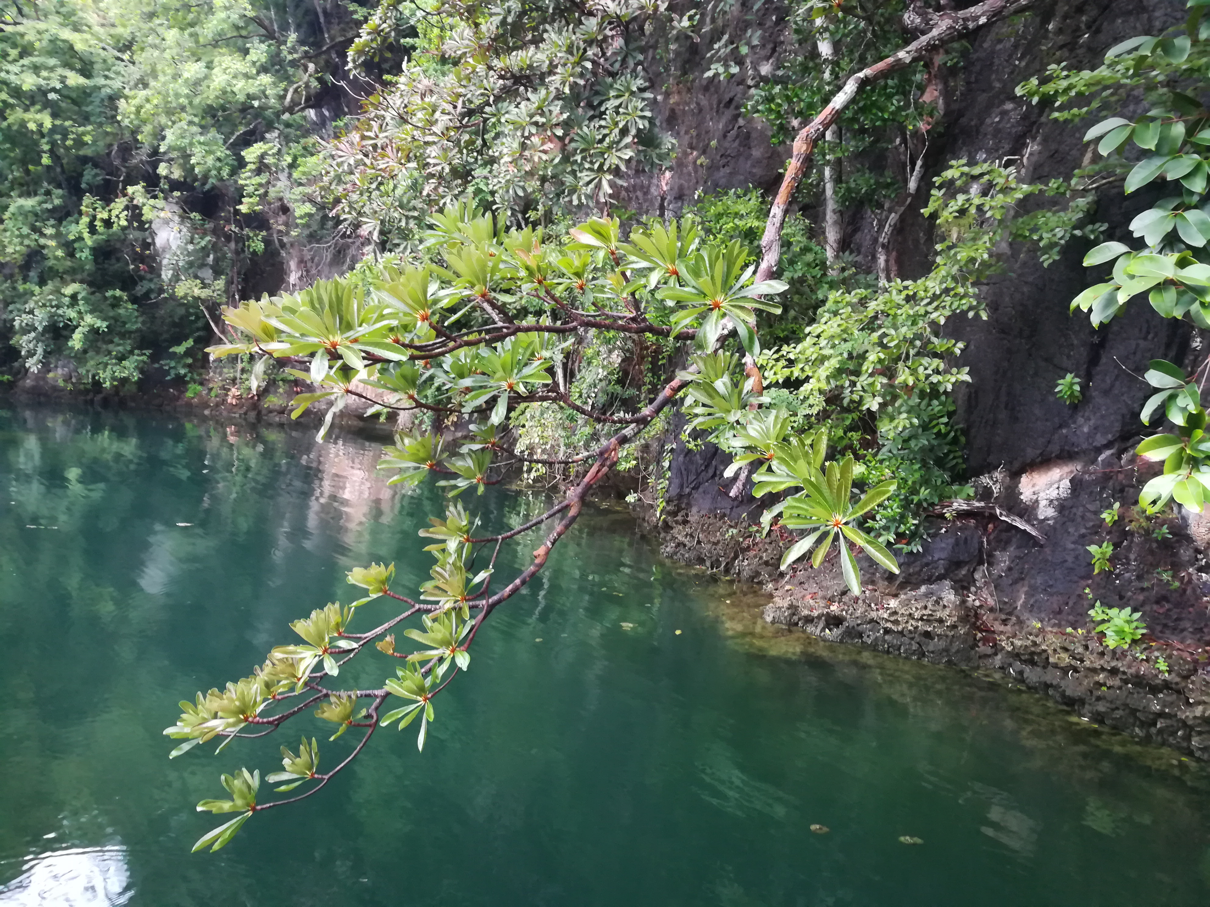 适合孕妇去的旅游景点图片