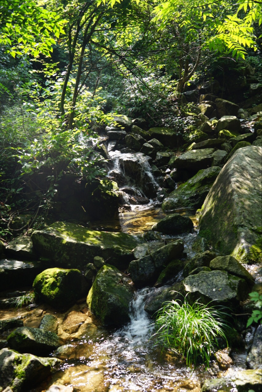 2019大別山主峰景區白馬尖_旅遊攻略_門票_地址_遊記點評,大別山景區