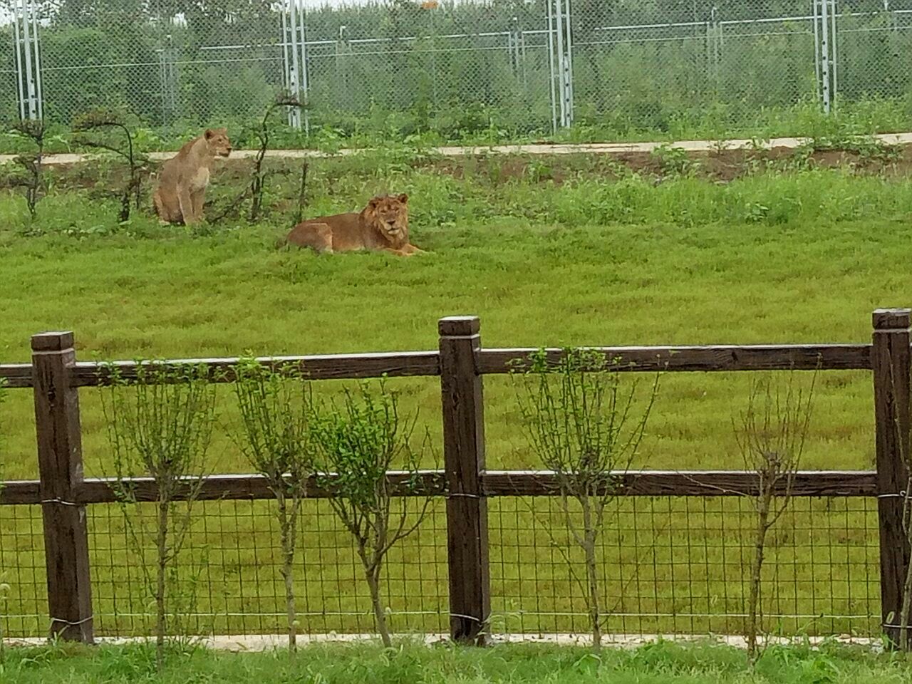 2019宿州野生動物園_旅遊攻略_門票_地址_遊記點評,宿州旅遊景點推薦