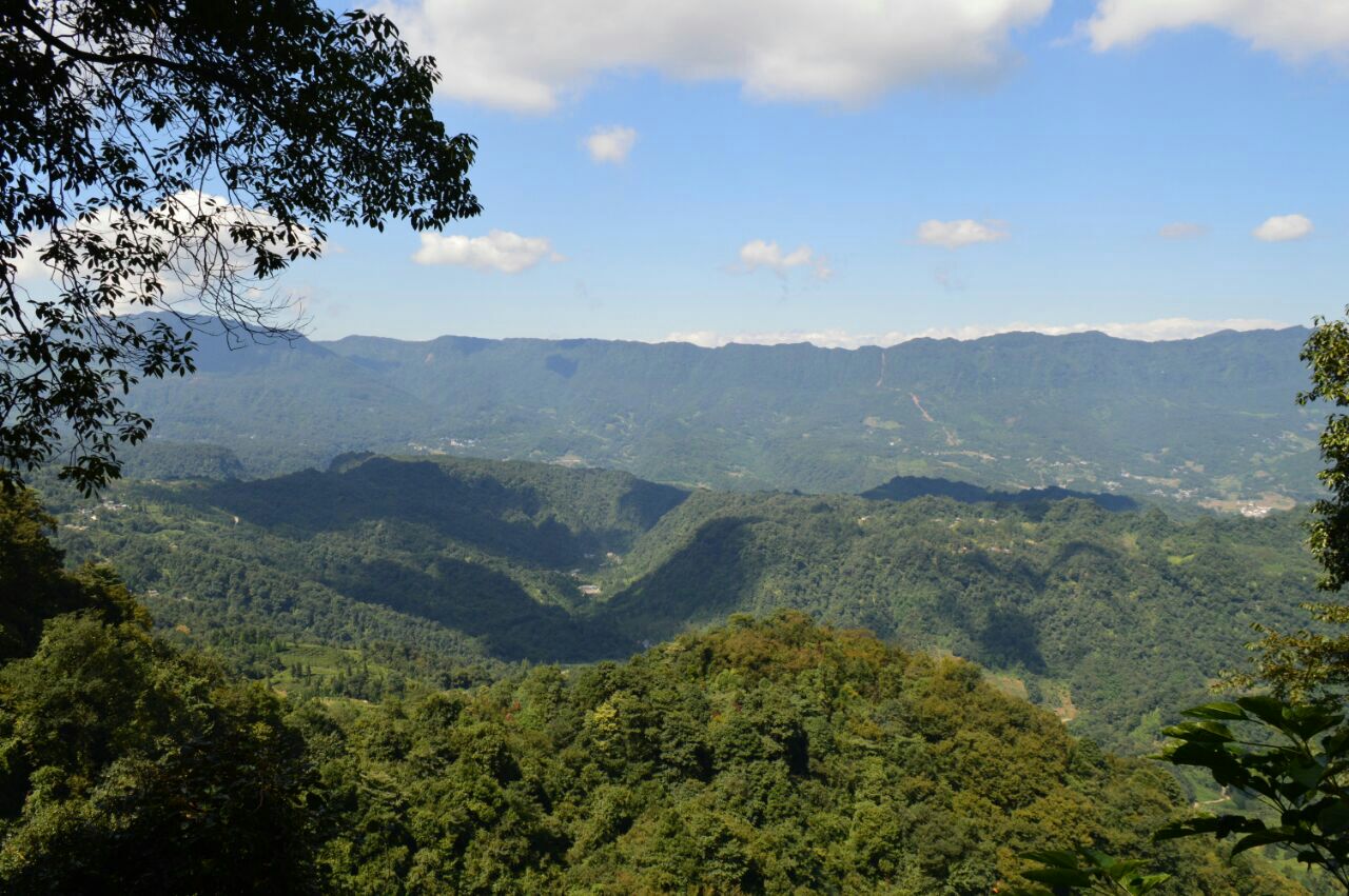 2019蒙頂山_旅遊攻略_門票_地址_遊記點評,雅安旅遊景點推薦 - 去哪兒