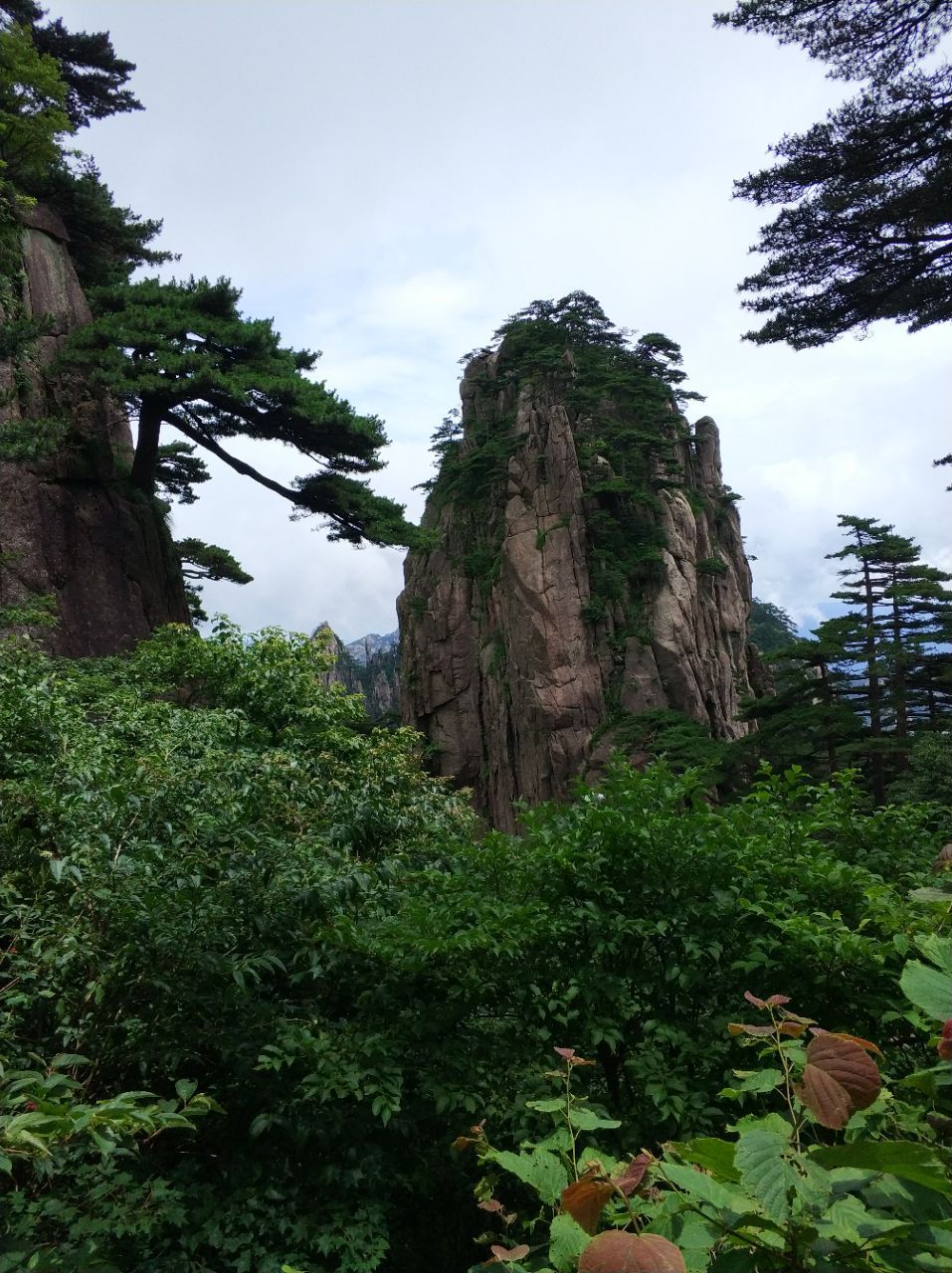 黃山風景區團結松好玩嗎,黃山風景區團結松景點怎麼樣_點評_評價