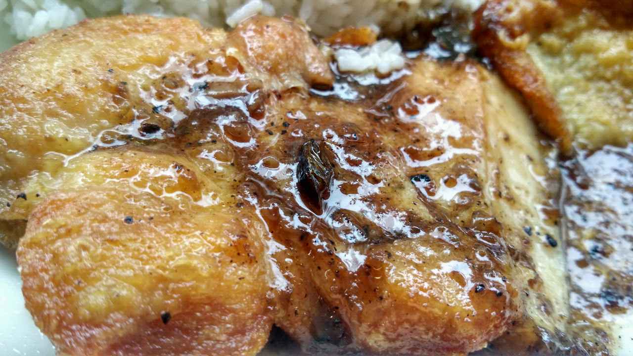 怎么搞的吃饭还送蟑螂一只严重影响我的食欲还吃了一口才看到恶心啊