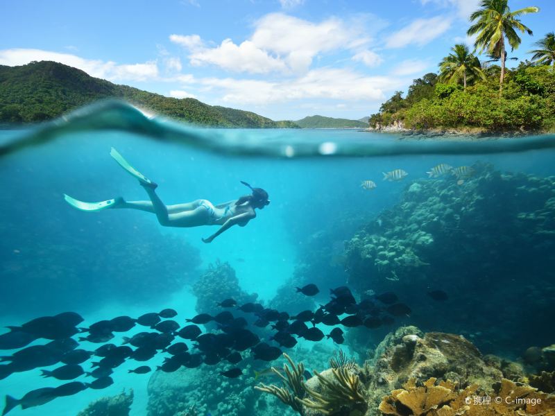 太阳岛太阳岛潜水攻略-太阳岛潜水门票价格多少钱-团购票价预定优惠