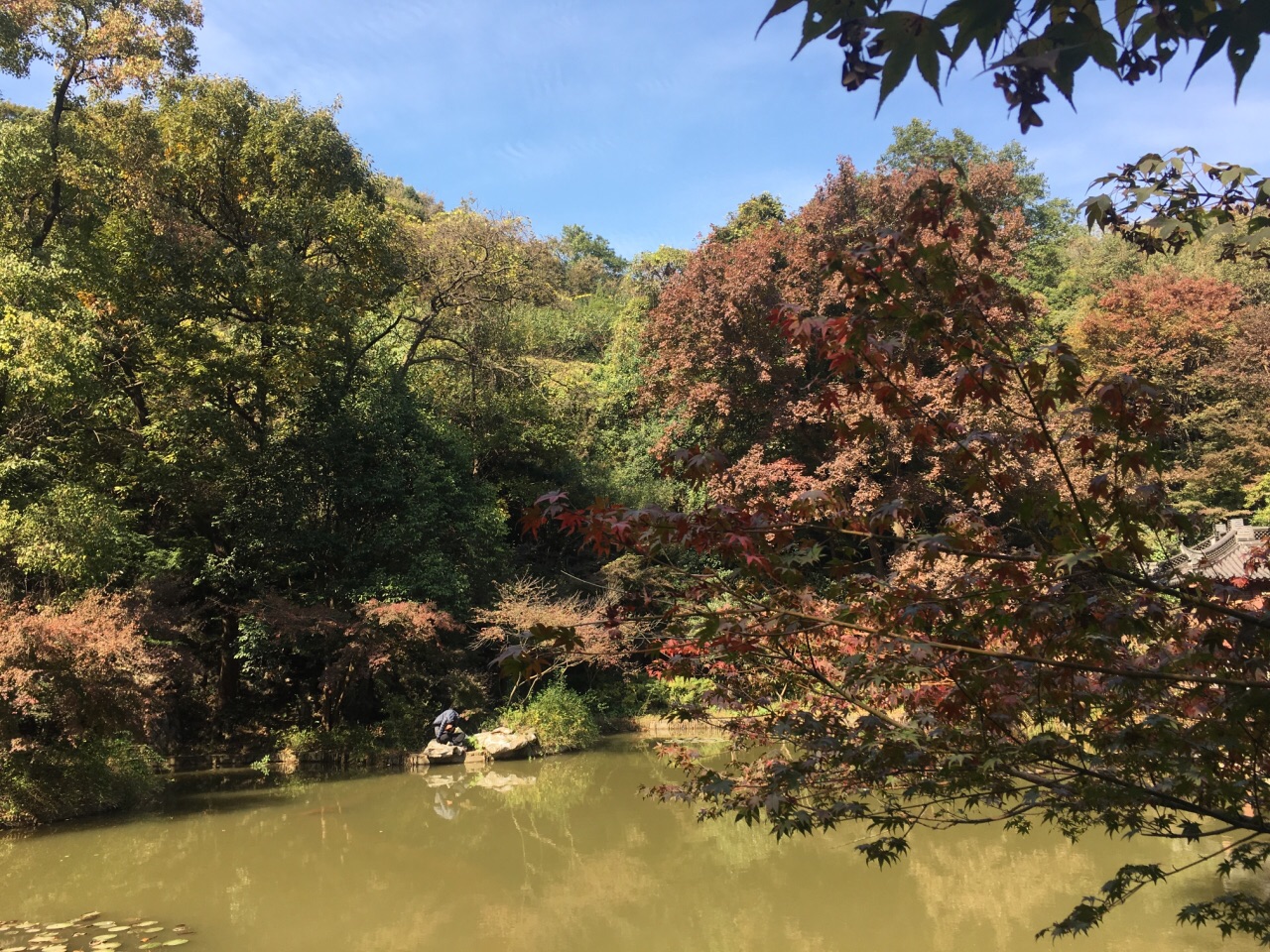 南京棲霞山一日遊攻略(南京棲霞山風景區門票價格)