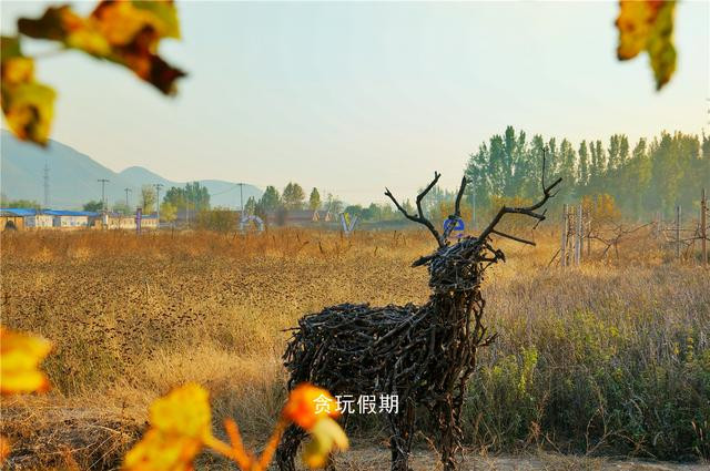 12.5农庄,距离北京市区最近有动漫主题房的农