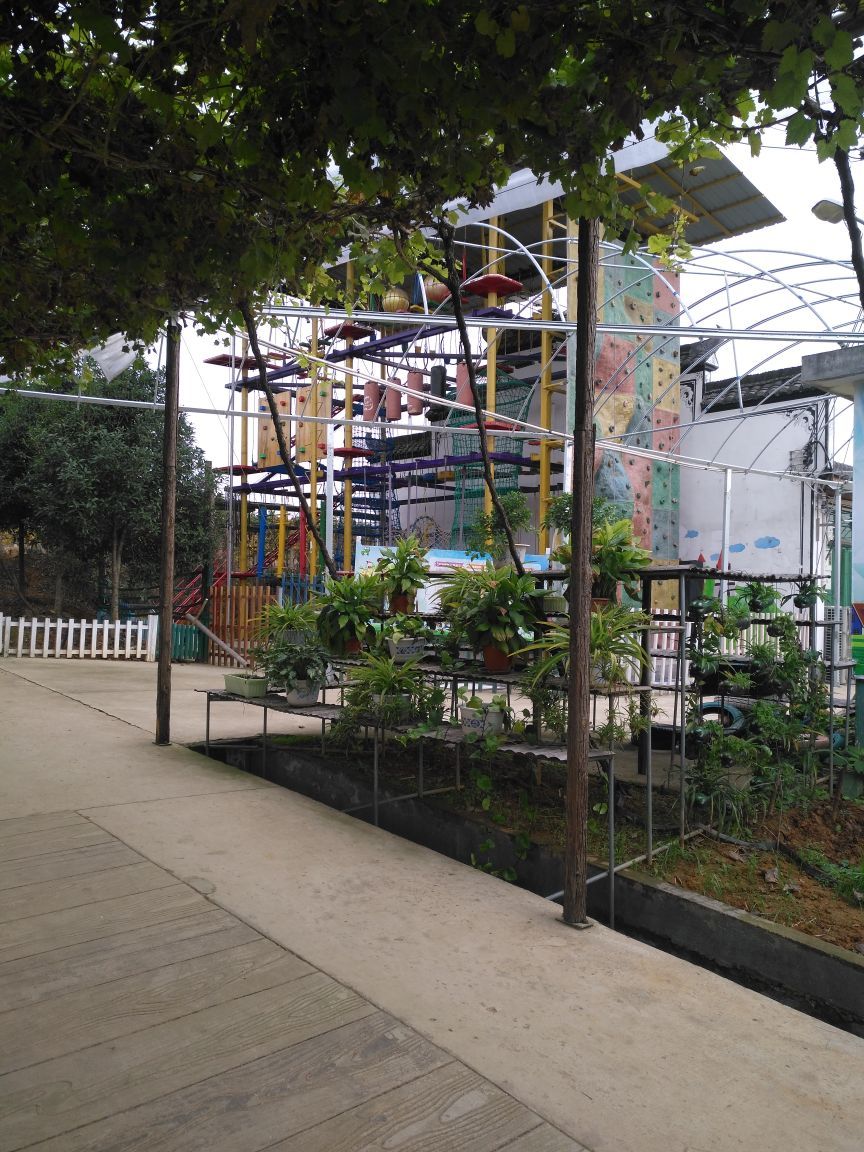 2020上荷塘寨春农场青蛙乐园游玩攻略,周末陪伴小孩来玩是个不错的.