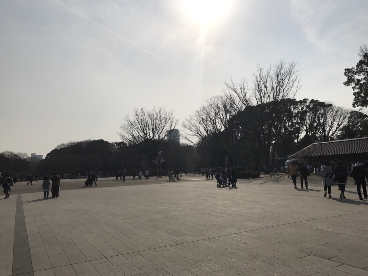 21上野公园玩乐攻略 非常商业化的一个公园了 那 去哪儿攻略