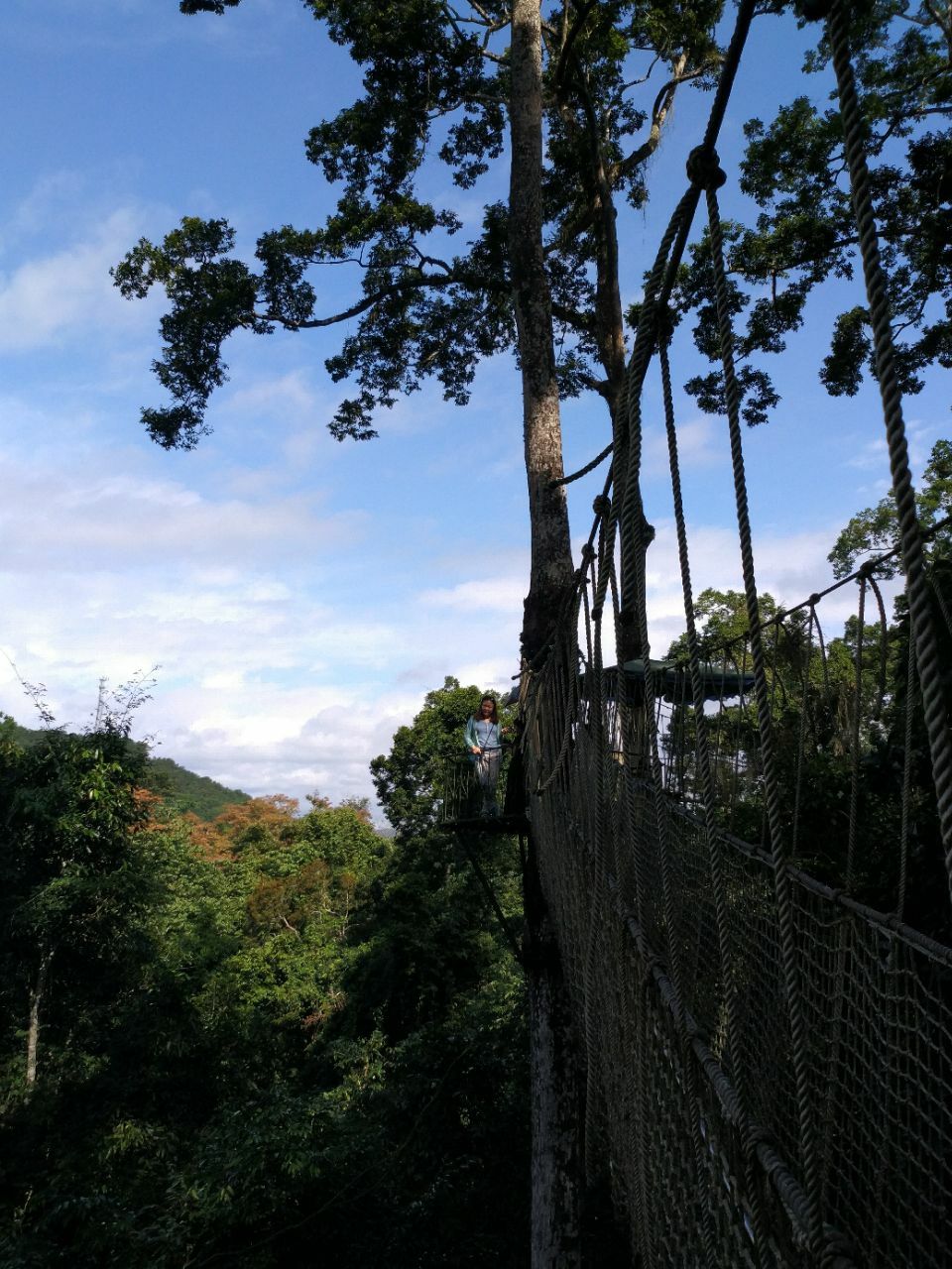 2019西双版纳热带雨林国家公园望天树景区_旅游攻略_门票_地址_游记