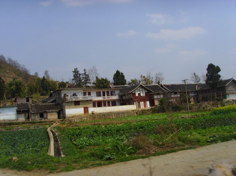 龙岗镇五星村