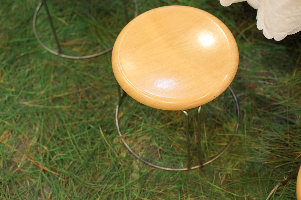 【暖暖冬日】有一座城,与花同名,有一种花叫攀枝花.