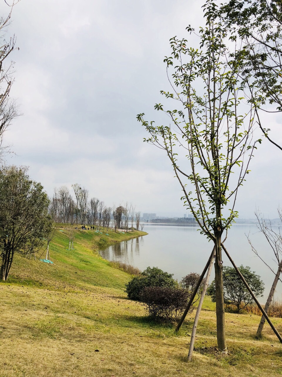 成都興隆湖溼地公園好玩嗎,成都興隆湖溼地公園景點怎麼樣_點評_評價