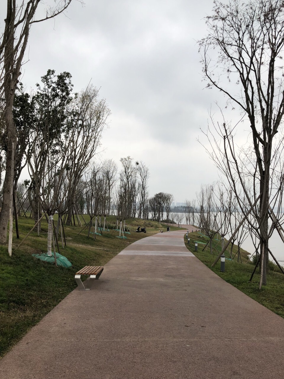 興隆湖溼地公園