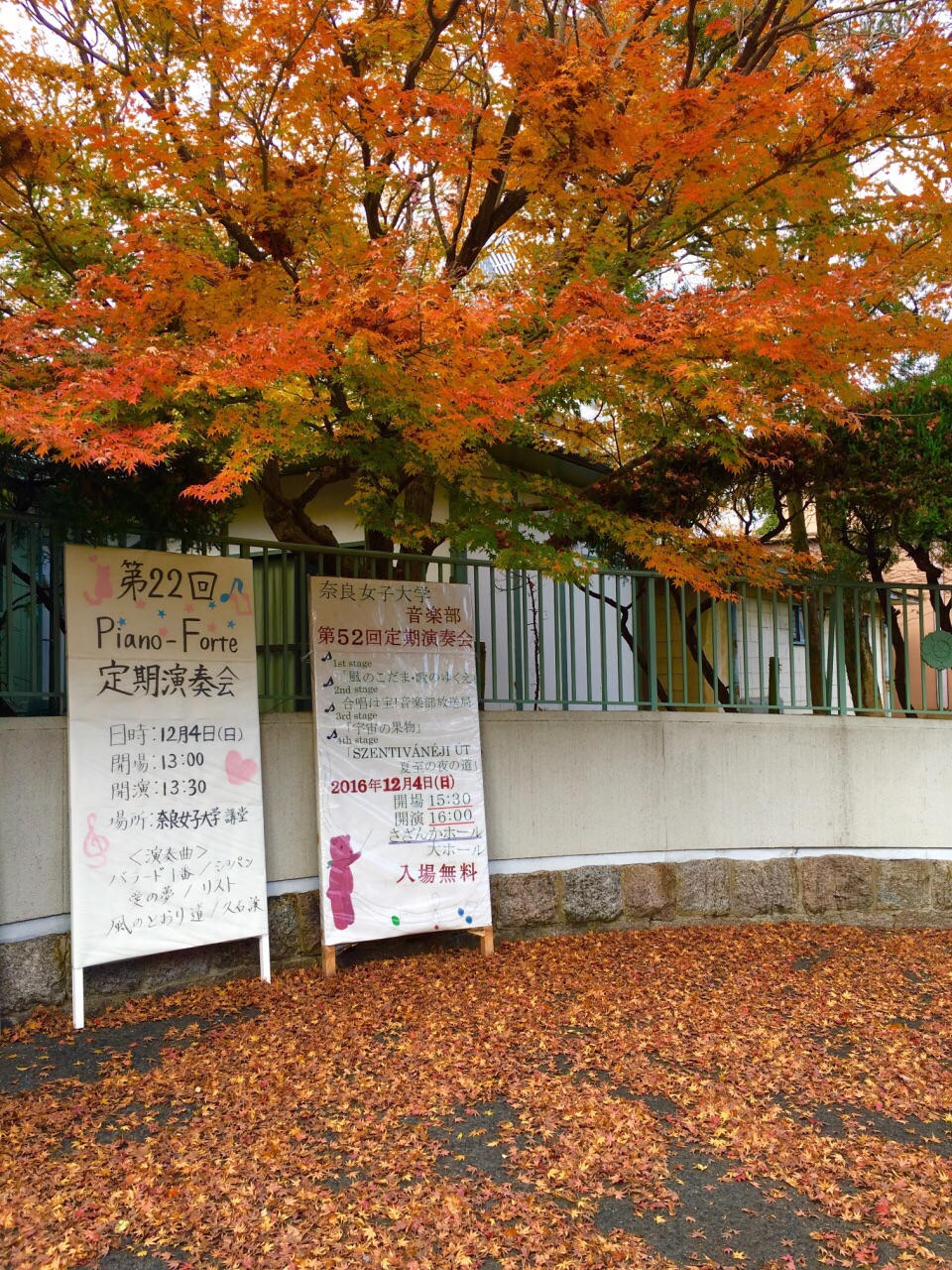 21奈良女子大学游玩攻略 抵达奈良车站后发现人还是挺 去哪儿攻略