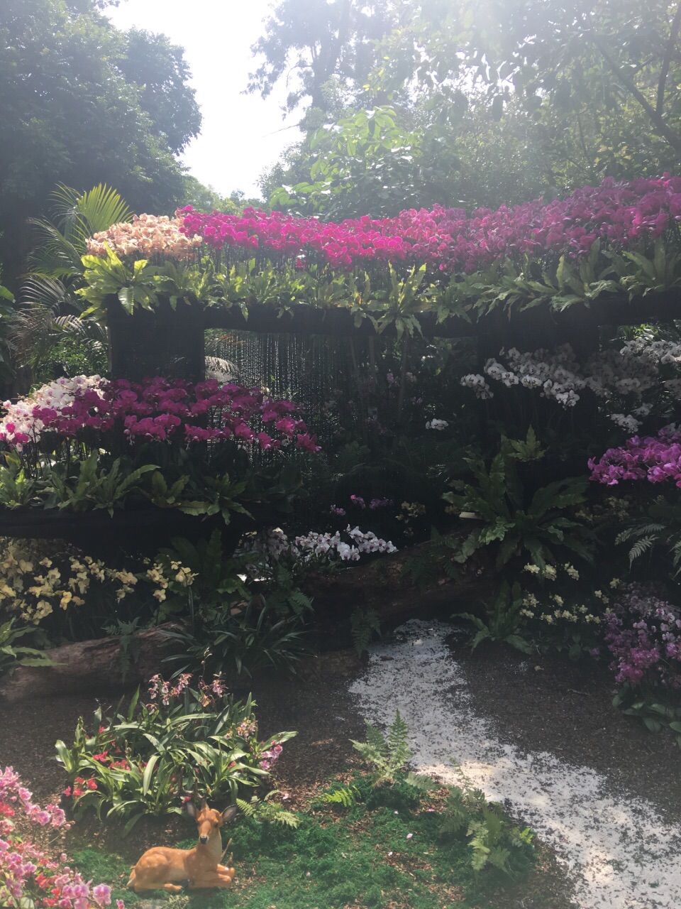 廈門園林植物園