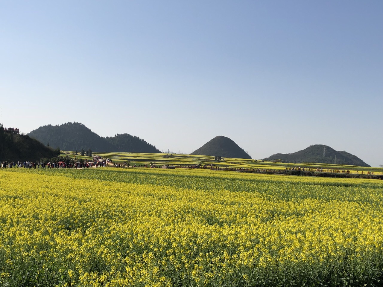 罗平罗平油菜花景区好玩吗,罗平罗平油菜花景区景点怎么样_点评_评价