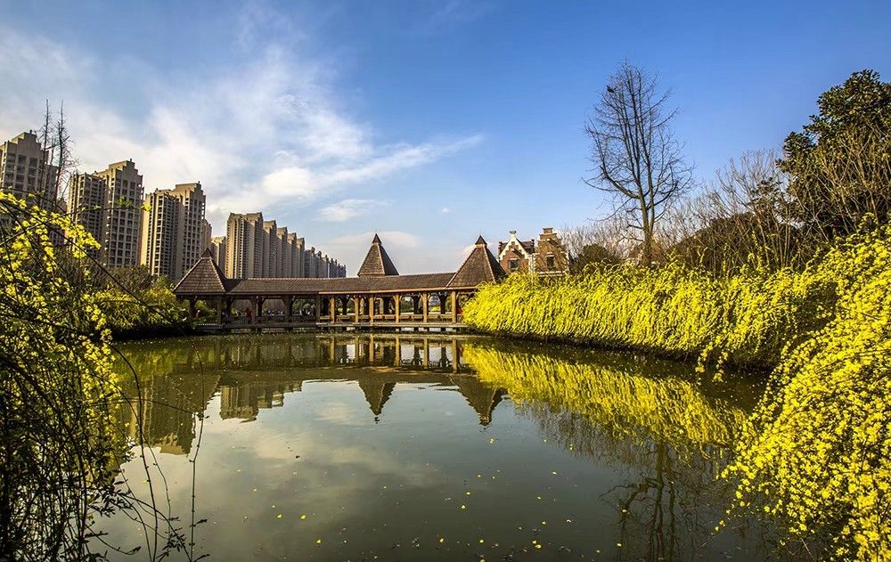 成都南湖公園好玩嗎,成都南湖公園景點怎麼樣_點評_評價【攜程攻略】