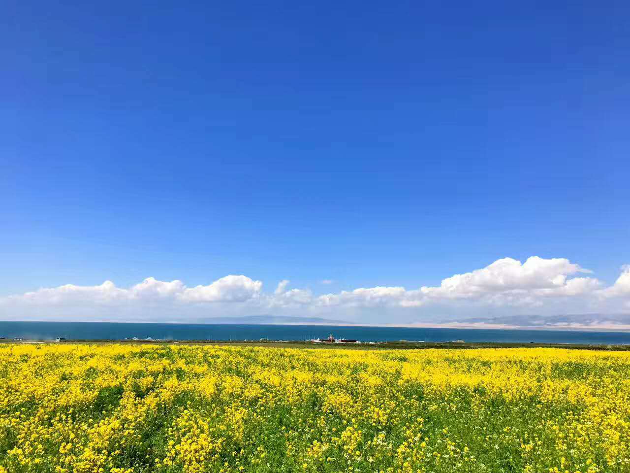 西寧到青海湖坐的車類型和價格