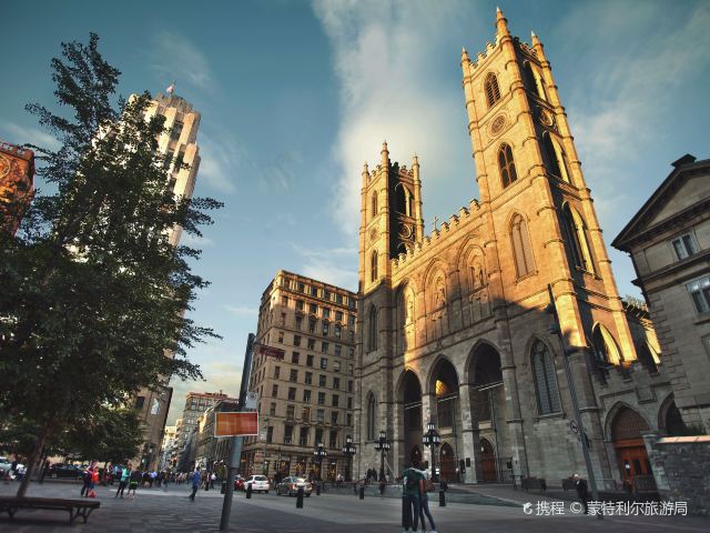 蒙特利尔圣母大教堂