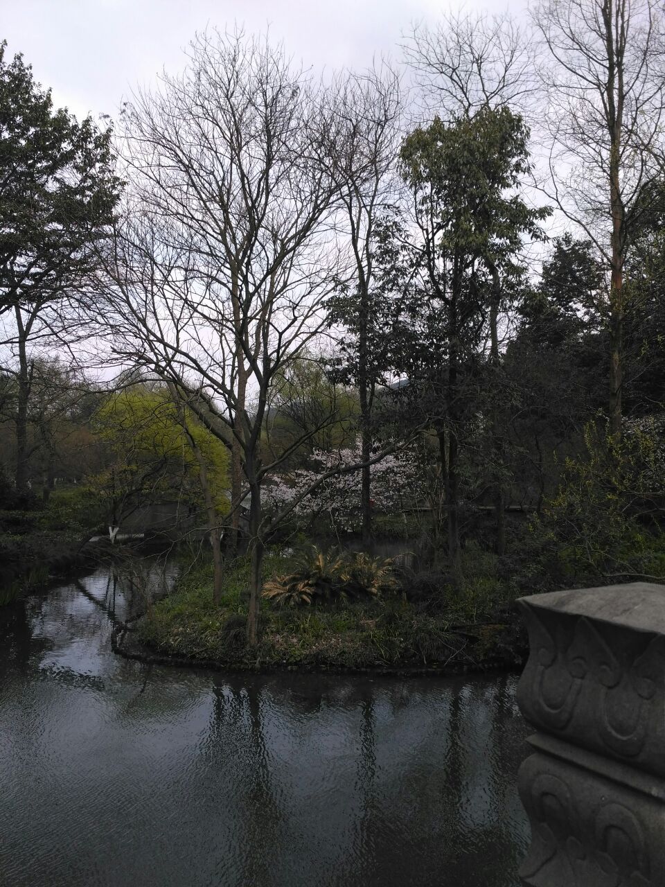 芝山岩健走步道图片