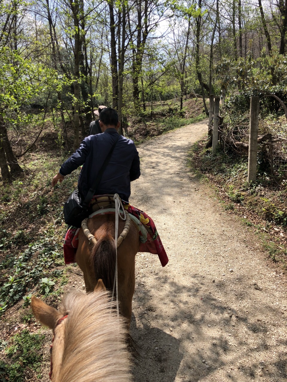 大理苍山 七龙女池 玉带云游路 中和寺一日游【na小团/骑马上山/徒步