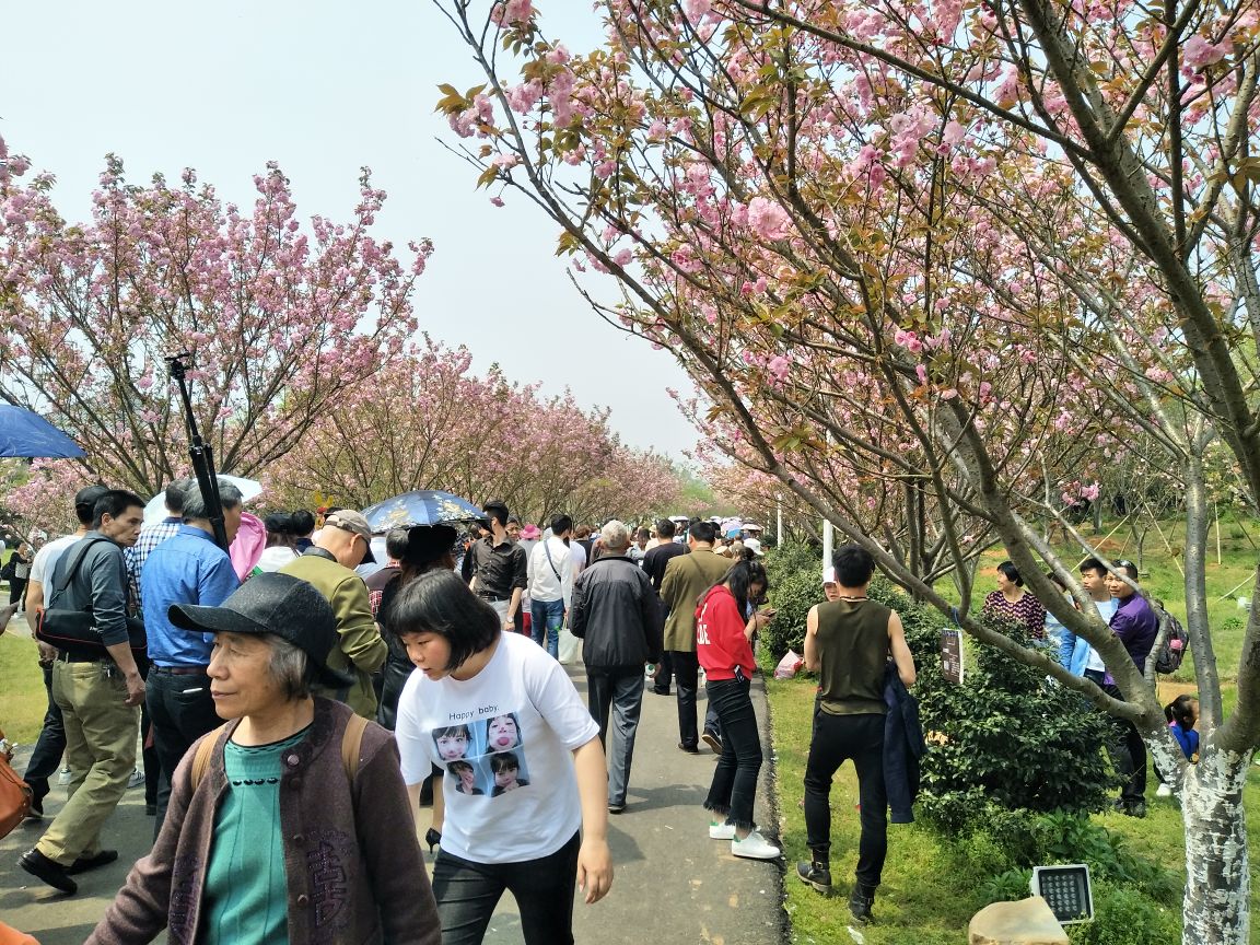 【攜程攻略】南昌鳳凰溝好玩嗎,南昌鳳凰溝景點怎麼樣_點評_評價