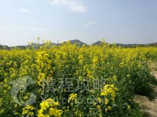 【携程攻略】余杭区良渚文化村附近景点推荐_