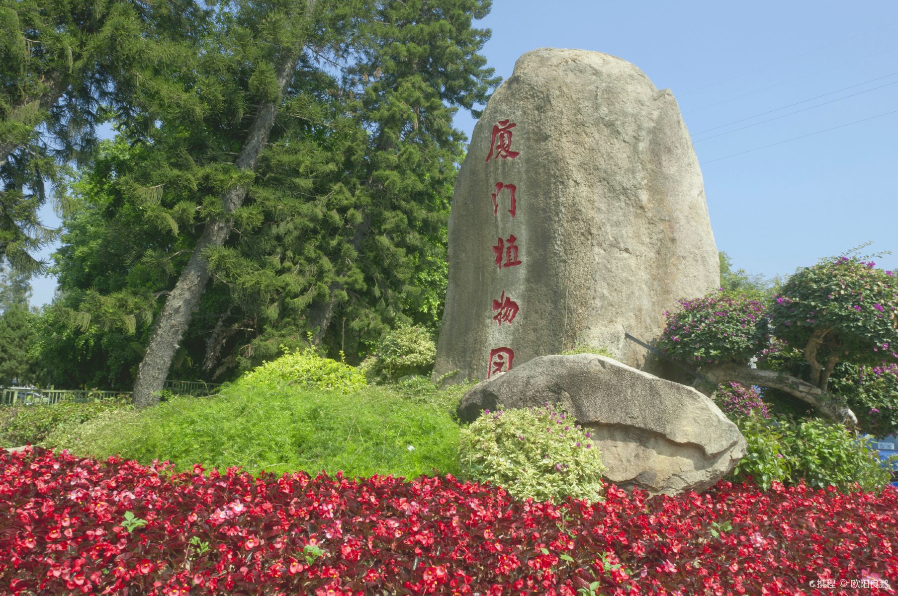 厦门园林植物园