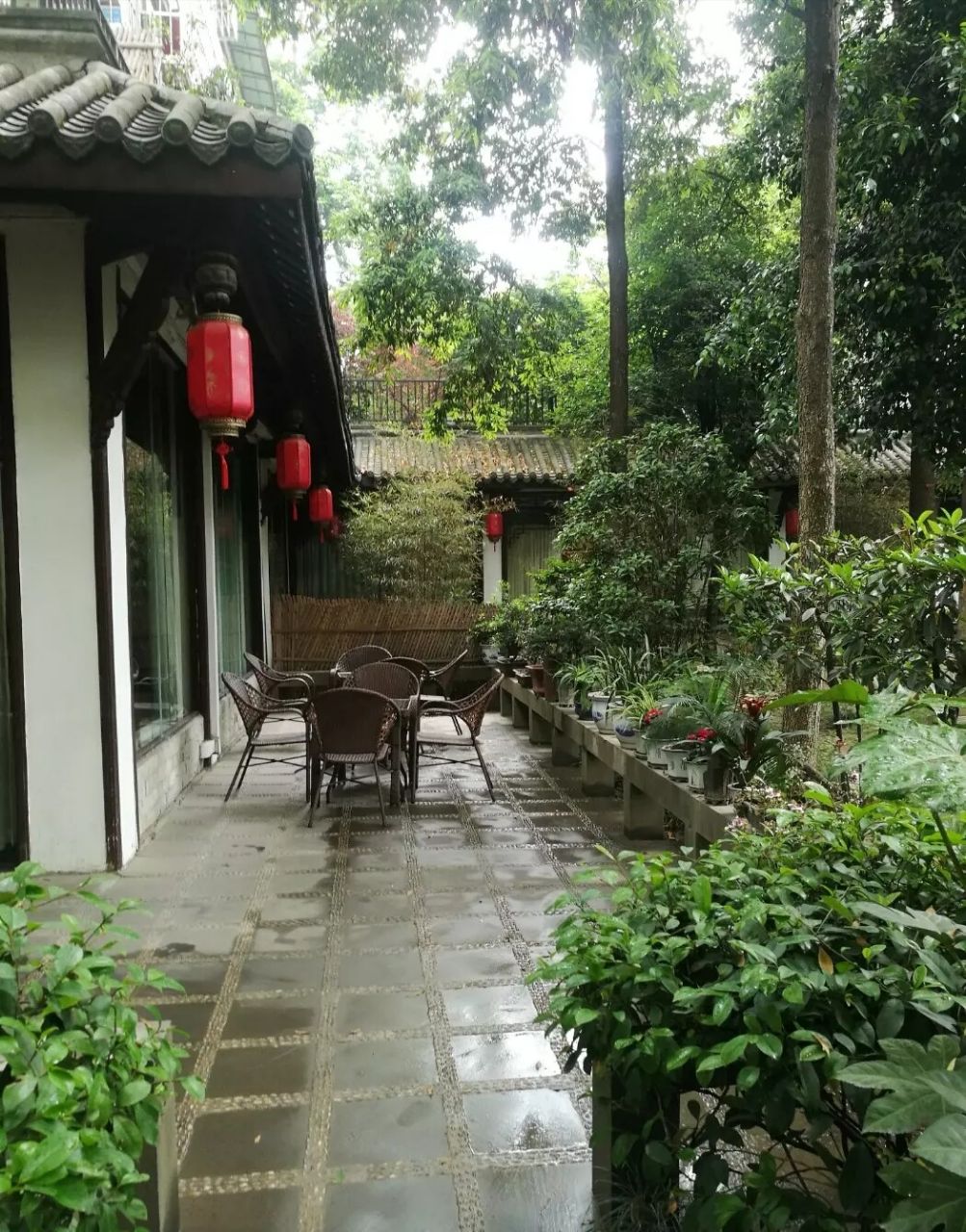 2019悟园(花照壁店)美食餐厅,一家园林式餐厅,院内小桥流