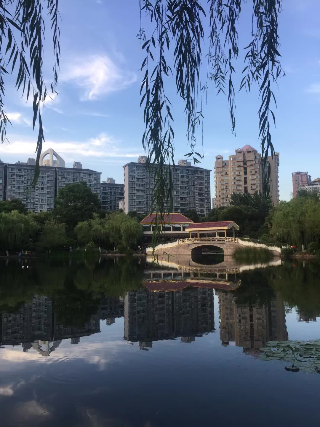 2019曲阳公园游玩攻略,去同事家路过,进去逛逛发现. 【去哪儿攻略】